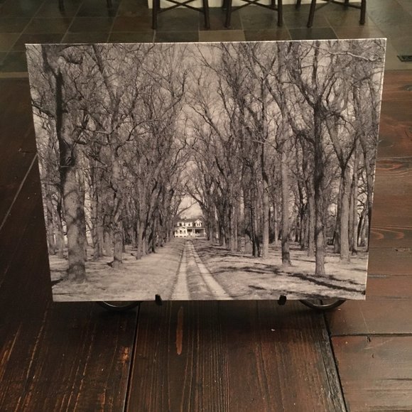 MHankel Other - The Driveway Canvas Photo